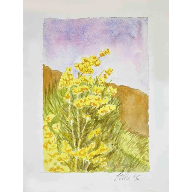 Wildflowers is an original drawing in watercolor, realized by an unknown artist in 1996. The status of preservation Good....