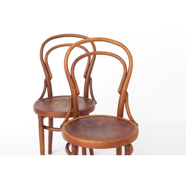Antique Austrian Beech Bentwood Dining Chairs, 1930s, Set of 2 For Sale - Image 3 of 12