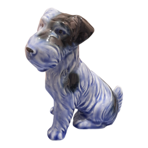 German Blue Scottish Terrier Dog Pup