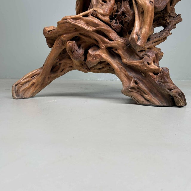 Large Japanese Burl Root Wood Plant Stand, 1920s For Sale - Image 11 of 18