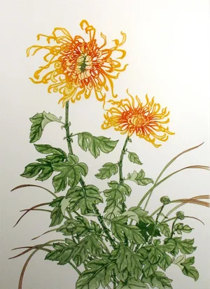 Arnold Iger "Chrysanthemum" Signed Numbered Floral Etching Still Life 1981 Unframed