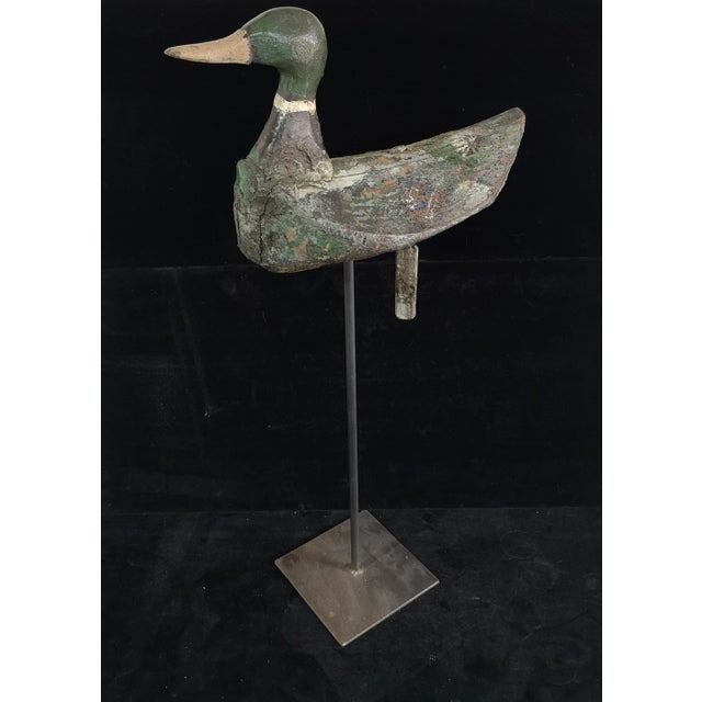 Vintage Decoy Duck on Stand, 1940 For Sale - Image 16 of 16
