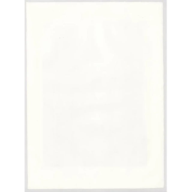 Mid-Century Modern 1968 Richard Florsheim Blast Furances Industrial Lithograph For Sale - Image 3 of 4