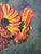 H. Berger Still Life Oil Painting on Canvas For Sale - Image 9 of 11