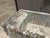 Antique French Double Sloped Monolithic Limestone Lavoir Trough, Circa 1800 For Sale In Dallas - Image 6 of 14