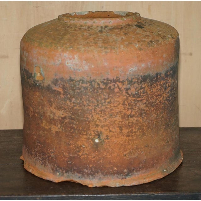 Antique English Terracotta Seakal Rhubarb Forced Planter, 1880 For Sale - Image 6 of 12