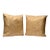 Scalamandre “Villa Lante Unito” Feather/Down Pillows - A Pair For Sale