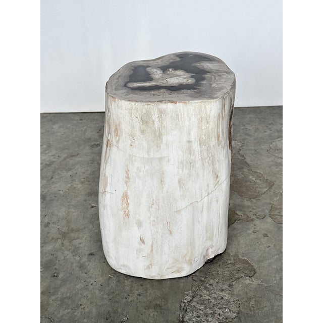 Side table in petrified wood, predominantly white heart, black crown H:40 D:24-30. Petrified wood is a wood fossil (wood)...