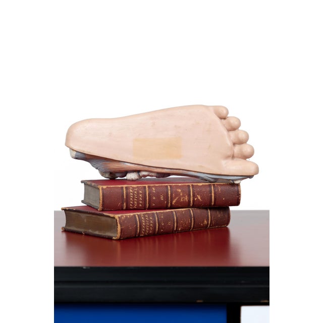 Vintage Anatomical Foot Model For Sale - Image 3 of 8