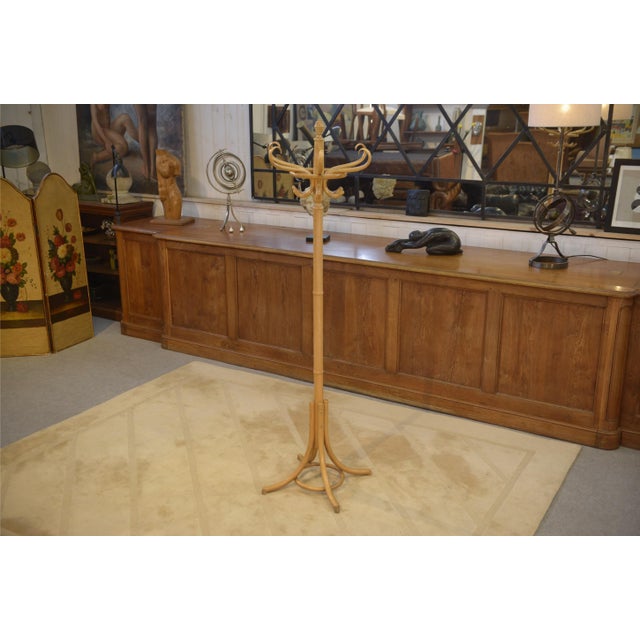Curved Beechwood Coat Rack, 1970s For Sale - Image 9 of 9
