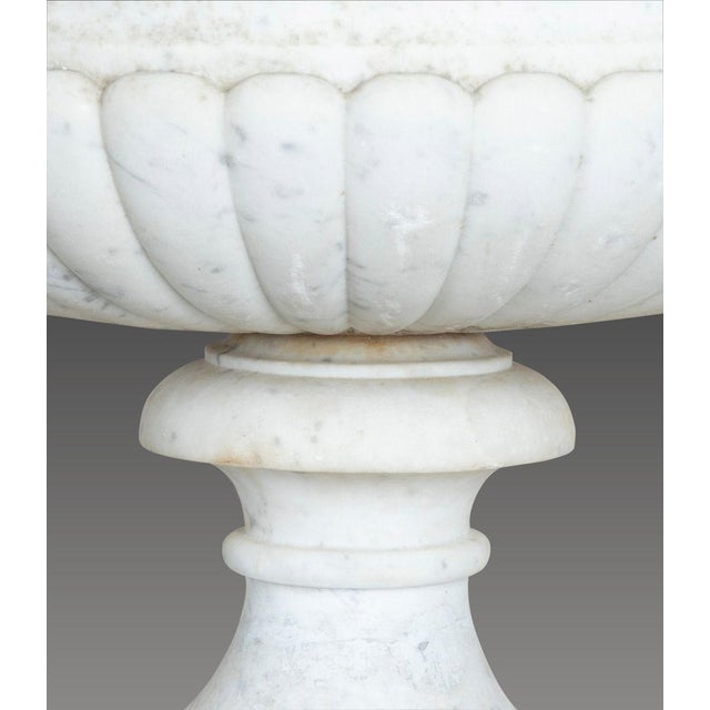 19th Century Italian Marble Tazza Urns, Set of 2 For Sale - Image 9 of 18
