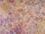 Late 20th Century Metallic Skies - Textured Abstract on Canvas by Judith W Winslow For Sale - Image 5 of 6