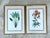 White Vintage Ehret Botanical Prints - Set of 2 For Sale - Image 8 of 12