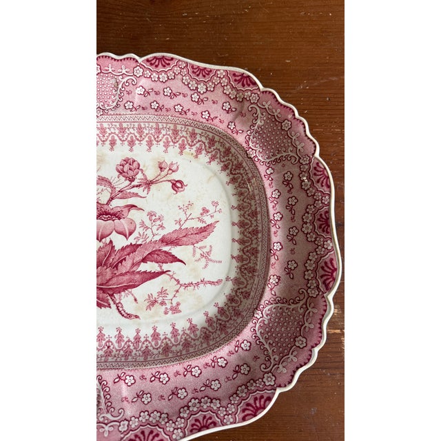 Ceramic A Very Fine Antique Pink Transferware Decorated Staffordshire Platter "Asiatic Plants" Pattern, Circa 1840's For Sale - Image 7 of 14