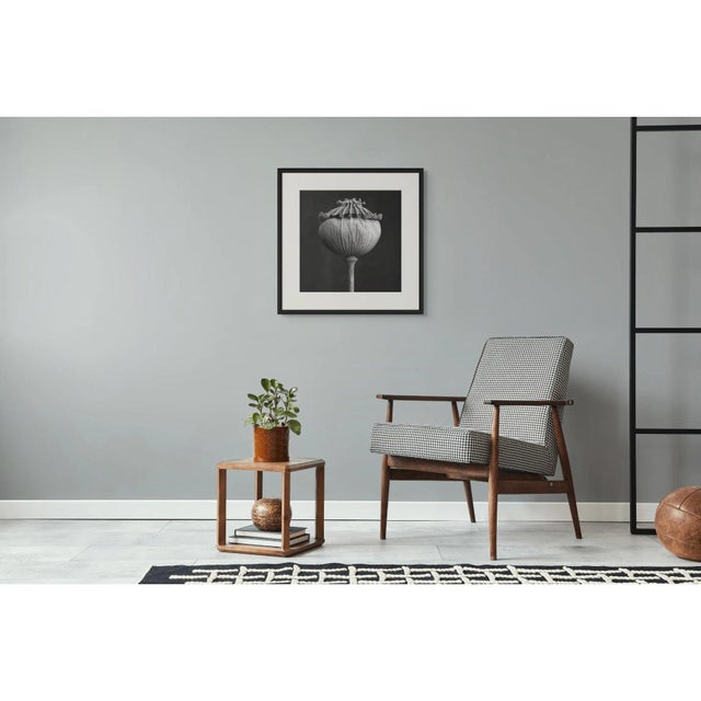 Poppy Pod Head No. 3 Black and White Botanical Photography in the Spirit of Karl Blossfeldt A sophisticated botanical...