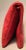 Animal Skin Chanel Red Quilted Leather CC Fold Over Clutch For Sale - Image 7 of 12
