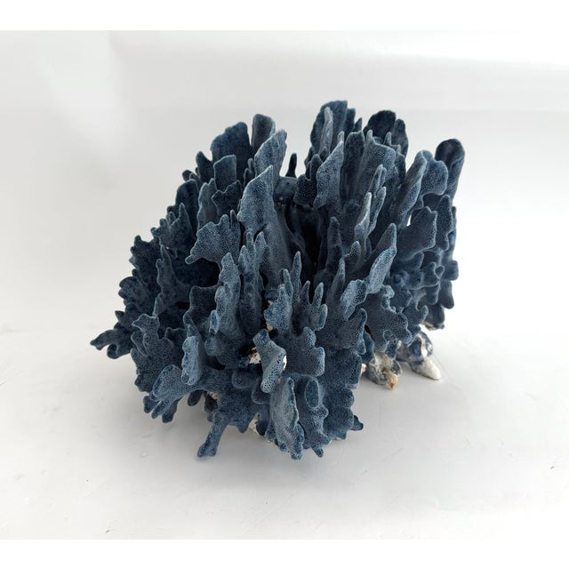 Chinoiserie Designer Size Natural Blue Coral Specimen For Sale - Image 3 of 7