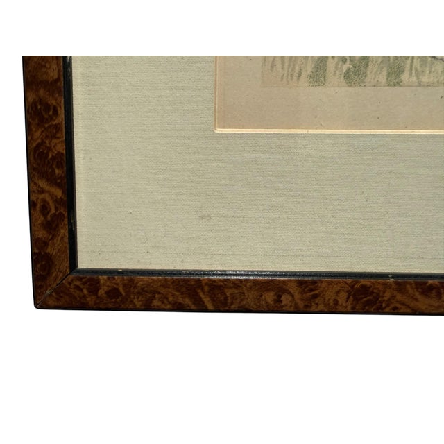 Wood Original 1881 Chromolithograph of Pointer Dog "Wagg" From Cassell's Illustrated Book of the Dog, by Vero Shaw For Sale - Image 7 of 9
