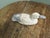 Wood French Brutalist Duck, 1960s For Sale - Image 7 of 8