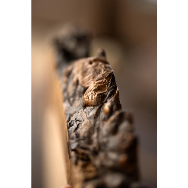 Natural Edge Walnut Burl Organic Shape Wall Hanging Mirror by Alabama Sawyer For Sale In Birmingham - Image 6 of 8