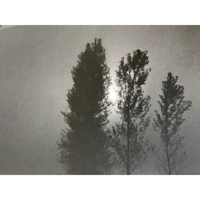 Black Vintage Richard D’Amore Black and White Landscape Signed Photograph For Sale - Image 8 of 13