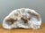 Contemporary Vintage White Quartz Geode For Sale - Image 3 of 12