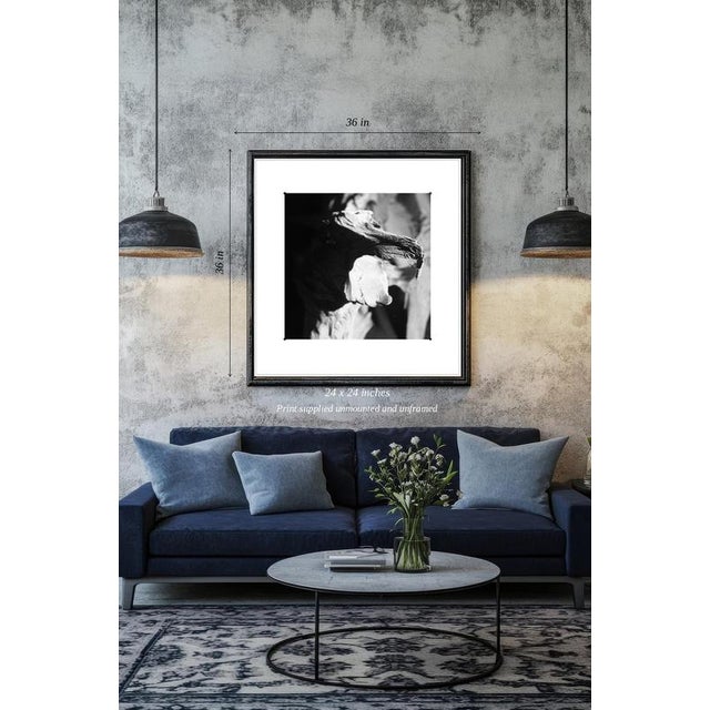 Fine art Giclee prints on Hahnemuhle Photo Rag 308gsm - a 100% cotton, acid-free, mould-made paper. Printed to Fine Art...