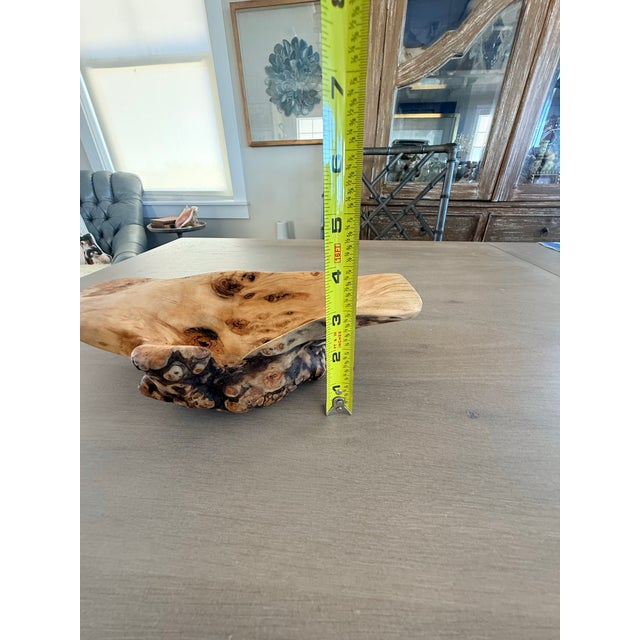 Brown Stunning Natural Aspen Wood Bowl For Sale - Image 8 of 12