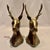 Brass Mid-Century Brass Stag Head Bookends - Set of 2 For Sale - Image 8 of 11