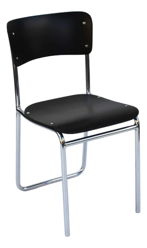 Vintage Bauhaus Tubular Auping Chair, 1930s