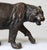 Art Nouveau Early 20th Century Cast Bronze Tiger For Sale - Image 3 of 10