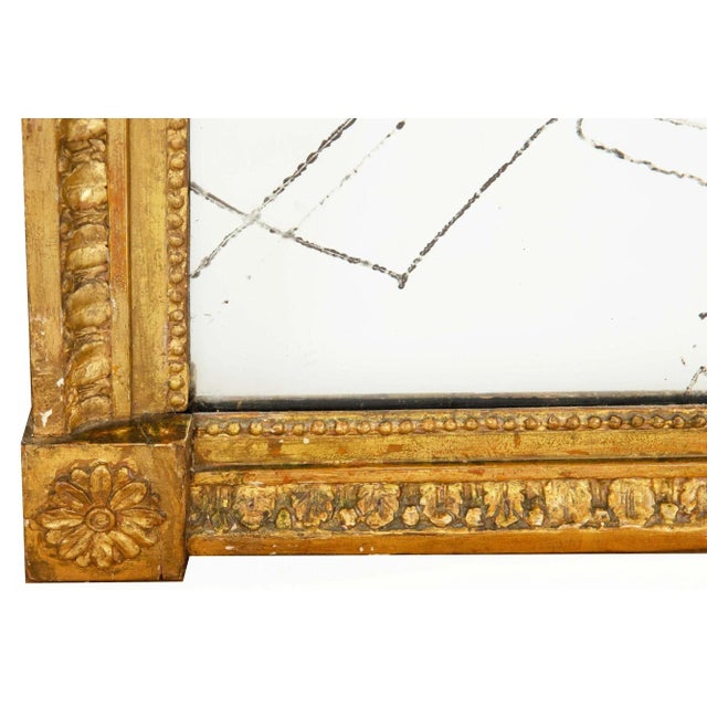 Gold Regency Period Gilded Pier Mirror With Lion’s Mask, Early 19th Century For Sale - Image 8 of 12