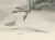 Early 20th Century After Lilian Medland, Grey Heron, 1909, Print For Sale - Image 5 of 9