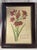 French Country Oversized Framed Botanical Prints, Iris and Lilio-Narcissus, 32"h - A Pair For Sale - Image 3 of 8
