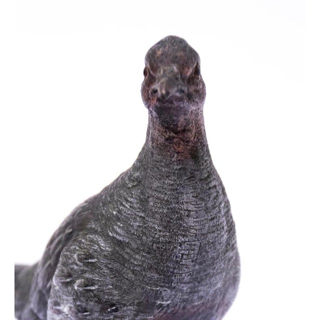 Vintage French Bronze Pigeon Sculpture, 1950s For Sale - Image 3 of 5