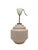 Vintage Ceiling Lamp, Germany, 1960s For Sale - Image 10 of 17