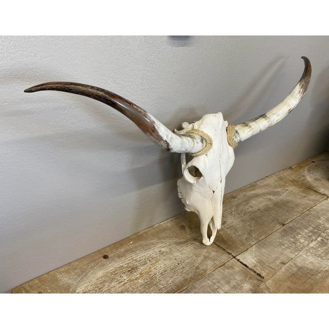 Farmhouse Texas Long Horns and Skull For Sale - Image 3 of 7