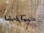 Oil Painting - 20th Century French Expressionism For Sale - Image 12 of 13