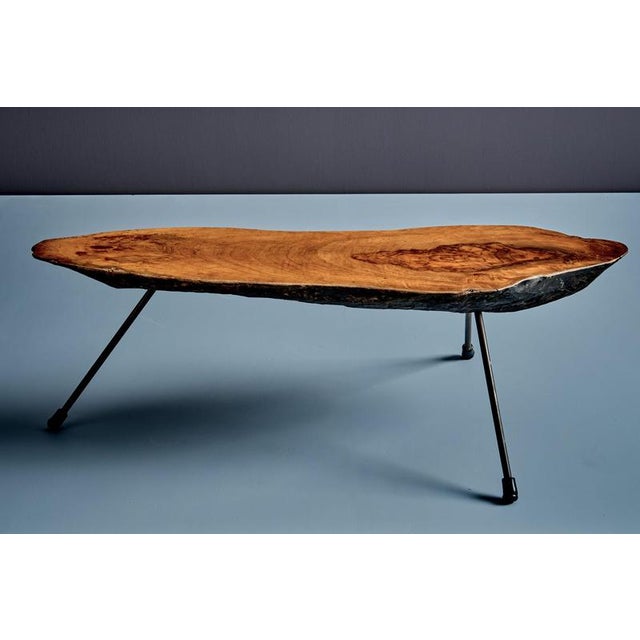 Black Tree Trunk Coffee Table by Werkstätte Carl Auböck, Austria, 1950s For Sale - Image 8 of 12
