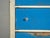 Antique Painted Chest of Drawers in Pine, Central Europe, 1890 For Sale - Image 12 of 16