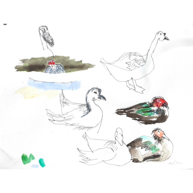 Contemporary Martha Holden "Portrait of Ducks" Ink on Paper For Sale - Image 3 of 3