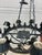 Traditional Niermann Weeks Regency Style Tole Chandelier For Sale - Image 3 of 11