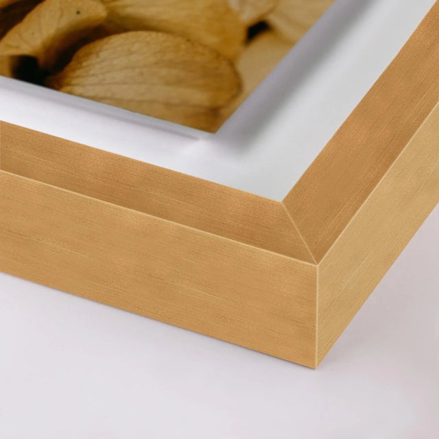 Untitled by Annie Spratt Contemporary Photograph in Gold Frame Overall Size: 19x24 Frame Color: Gold