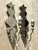 Vintage Mirrored Glass Sconces - Pair For Sale In West Palm - Image 6 of 12