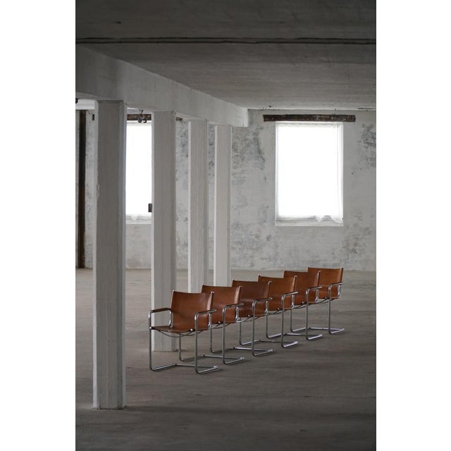 Vintage Cantilever Armchairs in Cognac Leather by Mart Stam for Matteo Grassi, 1960s, Set of 6 For Sale - Image 13 of 18