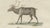 Paper Bertuch, Reindeer & Northern Deer, 1792, Engraving For Sale - Image 7 of 10