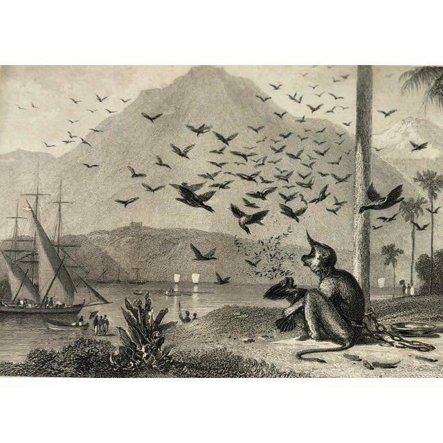 A charming and unusual antique steel engraving titled “The Monkey and Crows,” drawn by William Daniell, R.A. and engraved...