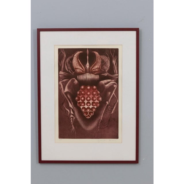 1980s Jaroslava Pešicová, Wine Beetle, 1982, Limited Edition Print, Framed For Sale - Image 5 of 6