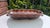 Ceramic Antique Ceramic Mold for Bread, 1890s For Sale - Image 7 of 7