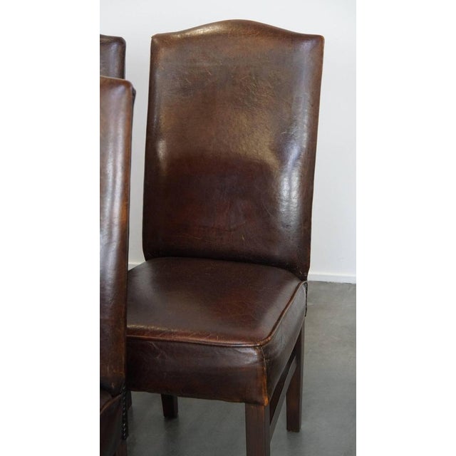 Sheep Leather Dining Room Chairs, Set of 6 For Sale - Image 9 of 14